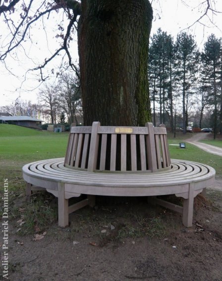 Une banc d'arbre avec du texte | Terrain de golf De Herkenbosche (Pays-Bas)